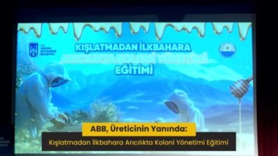 Ankara Büyükşehir Belediyesi (ABB) ve Gölbaşı Belediyesi iş birliğiyle vatandaşlara