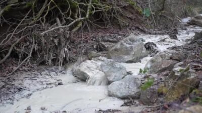 Yenişehir Emek ve Demokrasi Platformu, Bursa’nın Yenişehir ilçesine bağlı Kirazlıyayla Mahallesi’nde