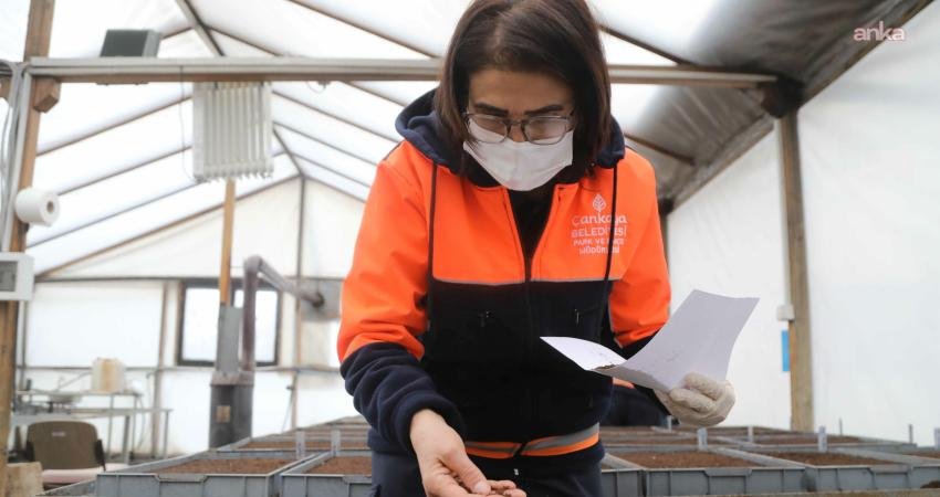 Çankaya Belediyesi’nden su kaynaklarına duyarlı üretim Çankaya Belediyesi, Çukurambar Uğur Mumcu Parkı içerisinde bulunan Çansera Üretim