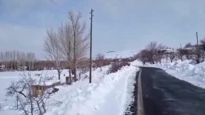 CHP'li Elazığ İl Genel Meclisi Üyesi Suat Ören, Maden ilçesine bağlı 38