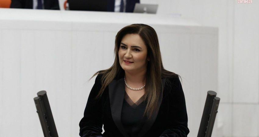 CHP İzmir Milletvekili Sevda Erdan Kılıç, yazılı açıklamayla dünyanın birçok