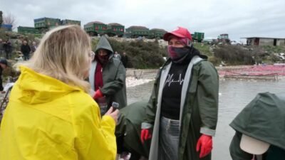 CHP Kadın Kolları Genel Başkanı Asu Kaya, Kadirli’de turp işçisi