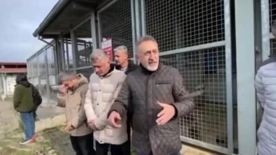 CHP Ordu Milletvekili Mustafa Adıgüzel, Ordu Büyükşehir Belediyesi’ne ait hayvan