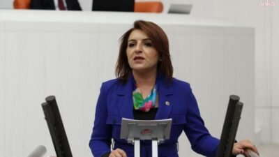 CHP Mersin Milletvekili Gülcan Kış, 2025 yılı merkezi yönetim bütçe