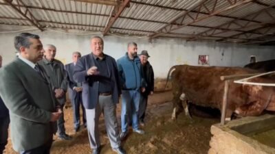 CHP Niğde Milletvekili Ömer Fethi Gürer, "Türkiye hayvan hastalıklarını önleyemez,