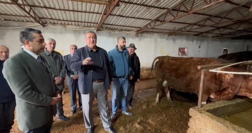 CHP Niğde Milletvekili Ömer Fethi Gürer, "Türkiye hayvan hastalıklarını önleyemez,