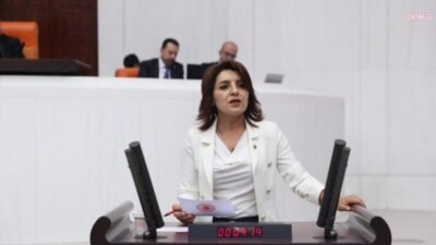 CHP Mersin Milletvekili Gülcan Kış, Orta Vadeli Programı (OVP) eleştirerek,