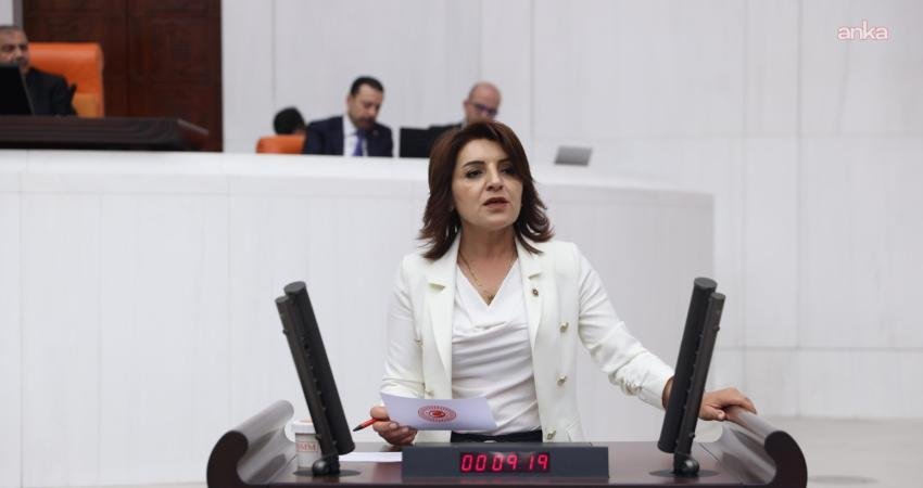 CHP Mersin Milletvekili Gülcan Kış, Orta Vadeli Programı (OVP) eleştirerek,