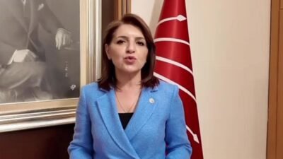 CHP Mersin Milletvekili Gülcan Kış, kredi kartı ve bireysel kredi