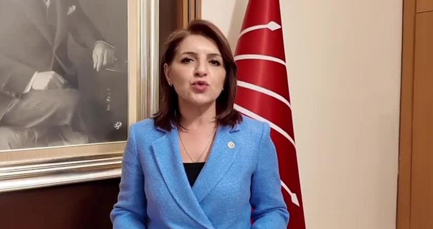 CHP Mersin Milletvekili Gülcan Kış, kredi kartı ve bireysel kredi