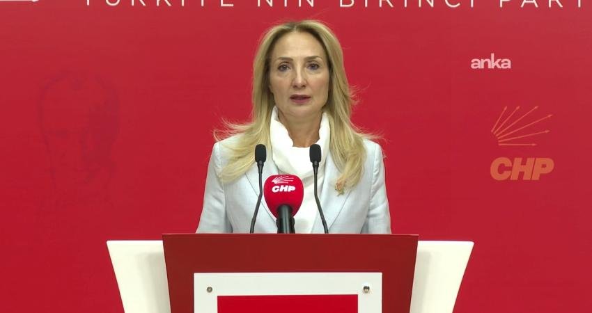 CHP'nin Aile ve Sosyal Hizmetler Politika Kurulu Başkanı Aylin Nazlıaka,