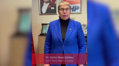 CHP Parti Meclisi Üyesi Zeliha Aksaz Şahbaz, "İntiharlar artıyor, uyuşturucu