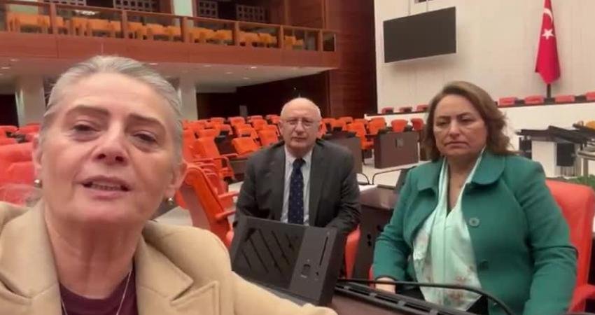 CHP Adana Milletvekili Müzeyyen Şevkin, emekliler için TBMM Genel Kurulu'nda