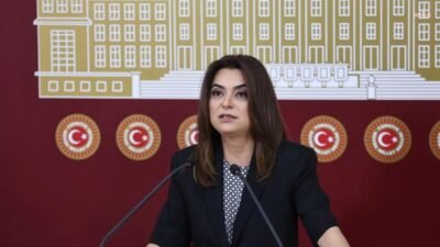 DEM Parti Grup Başkanvekili Gülistan Kılıç Koçyiğit, Kobane'ye insani yardım ulaştırılması