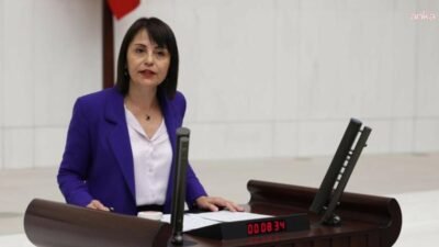 DEM Parti İstanbul Milletvekili Kezban Konukçu, ANKA Haber Ajansı'nın gündeme