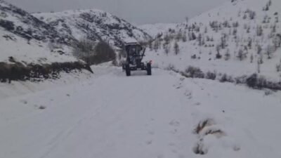 Diyarbakır’da yoğun kar yağışının etkili olduğu 6 ilçede, son iki
