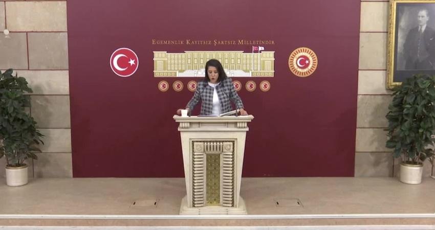 Emek Partisi (EMEP) Gaziantep Milletvekili Sevda Karaca, Ankara Sincan Organize