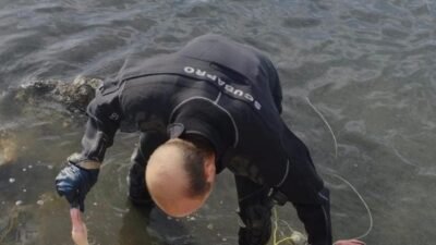 İzmir’in Balçova ilçesindeki İnciraltı Kent Ormanı’nda, vücuduna ip dolanan flamingo,