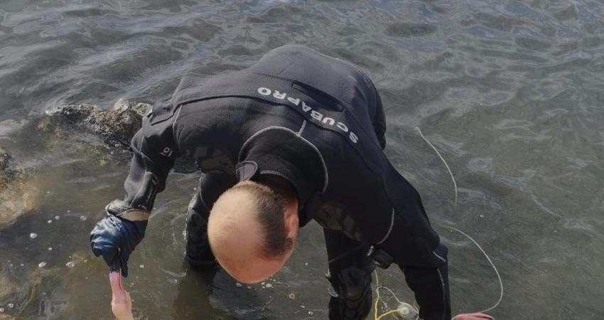 İzmir’in Balçova ilçesindeki İnciraltı Kent Ormanı’nda, vücuduna ip dolanan flamingo,