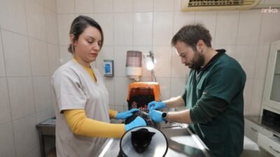 Gaziemir Belediyesi, 2025 yılı boyunca yürüttüğü veteriner sağlık hizmetleriyle 6