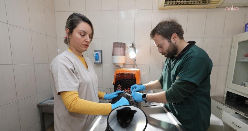 Gaziemir Belediyesi, 2025 yılı boyunca yürüttüğü veteriner sağlık hizmetleriyle 6