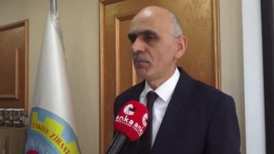 Giresun Ziraat Odası Başkanı Nurittin Karan, kokarcanın fındığa verdiği zararın