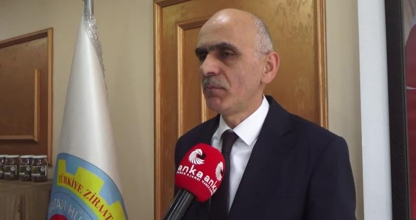 Giresun Ziraat Odası Başkanı Nurittin Karan, kokarcanın fındığa verdiği zararın