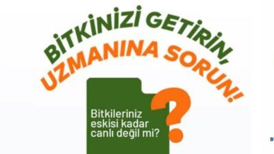İstanbul Ağaç ve Peyzaj AŞ "Bitki Doktoru" projesiyle, İstanbullulara bitkileri