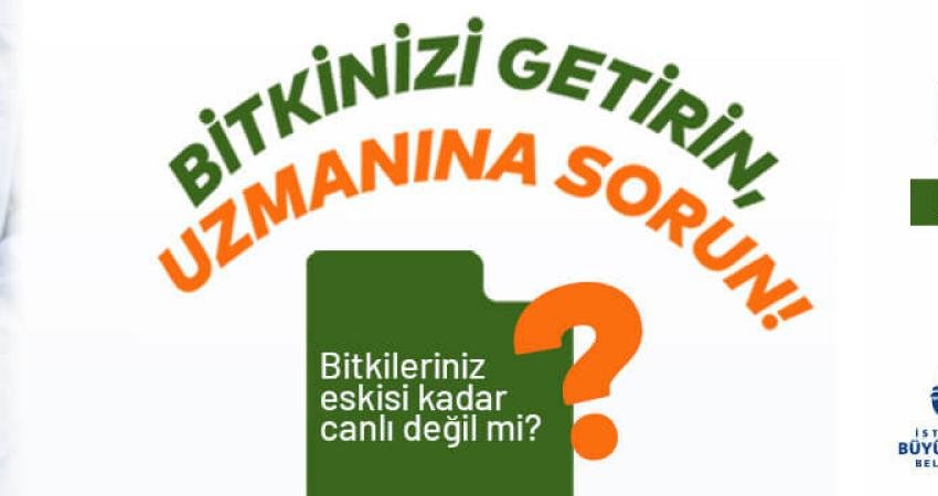 İstanbul Ağaç ve Peyzaj AŞ "Bitki Doktoru" projesiyle, İstanbullulara bitkileri