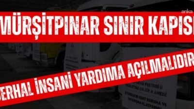 İnsan Hakları Derneği (İHD), Kobani'de sivillere ulaştırılmak istenen insani yardımın engellenmesinin