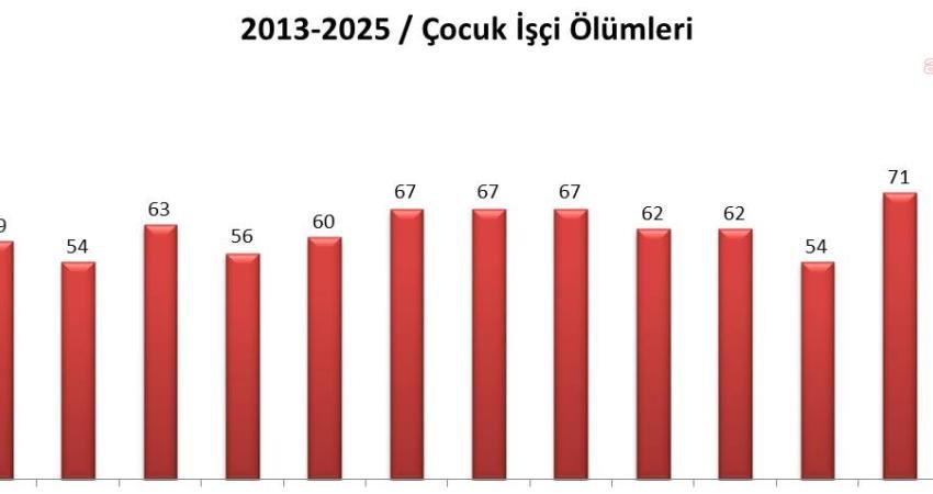 İşçi Sağlığı ve İş Güvenliği (İSİG) Meclisi, 2025 yılında en