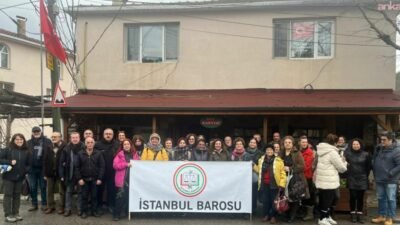 İstanbul Üniversitesi Cerrahpaşa Orman Fakültesi Öğretim Üyesi Prof. Dr. Kenan Ok, İstanbul