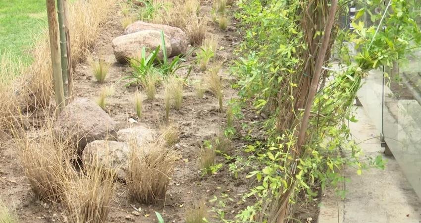 İzmir Büyükşehir Belediyesi’nden duraklara yeşil dokunuş İzmir Büyükşehir Belediyesi, kamusal alanlarda yaptığı estetik dokunuşlarla kentin çehresini