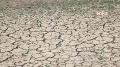 İzmir’de etkili olan yağışlı hava Tahtalı Barajı havzasında da kendini