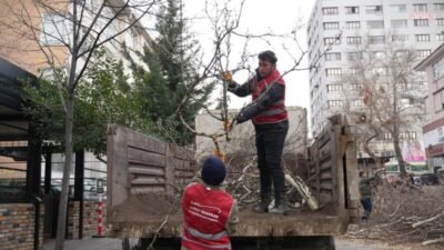 Keçiören Belediyesi Park ve Bahçeler Müdürlüğü, ihtiyaç duyulan bölgelerdeki ağaçlarda