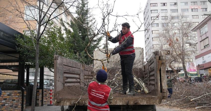 Keçiören Belediyesi Park ve Bahçeler Müdürlüğü, ihtiyaç duyulan bölgelerdeki ağaçlarda