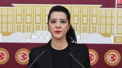 Emek Partisi (EMEP) Genel Başkan Yardımcısı Sevda Karaca, 2022 yılında