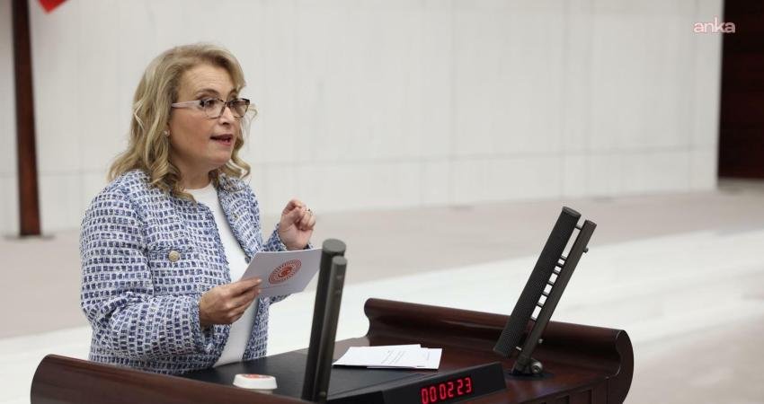 CHP İstanbul Milletvekili Sibel Yanıkömeroğlu, İstanbul'da 8 Ocak'ta hava muhalefetinin ardından