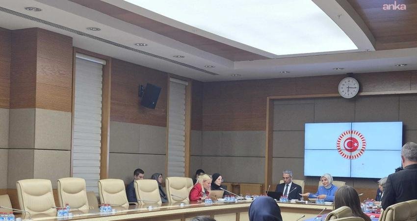 CHP’li Bankoğlu: Pavyondaki kız çocuklarının istismara uğramasından rahatsız olmuyorsunuz da benim konuşmamdan mı rahatsız oluyorsunuz? TBMM’de Suça Sürüklenen Çocuklara İlişkin Araştırma Komisyonu’nda tansiyon yükseldi. CHP