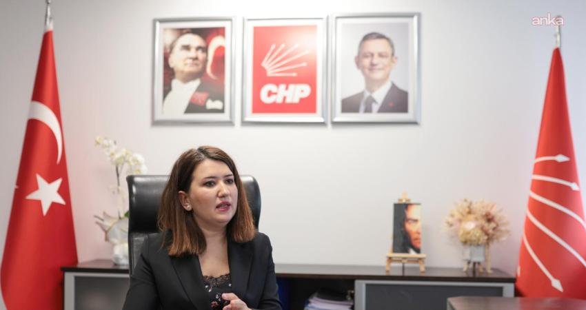 CHP Genel Başkan Yardımcısı Gökçe Gökçen, Gezi davası hükümlüsü Tayfun