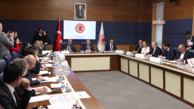 TBMM Dışişleri Komisyon Başkanı Fuat Oktay, "Suriye'nin toprak bütünlüğünün ve