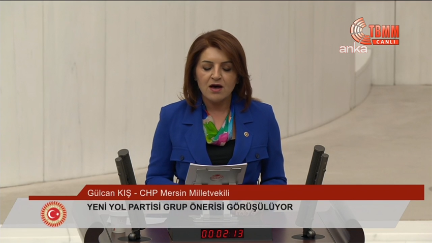 TBMM Genel Kurulu'nda Yeni Yol Partisi tarafından, Cumhurbaşkanlığı hükümet sistemi