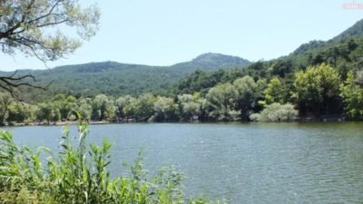 S.K.Y. Petrol Madencilik İnşaat Nakliye San. Ve Tic. Ltd. Şti,