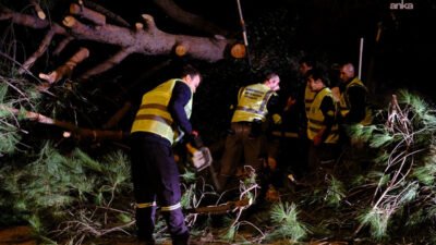Bodrum Belediyesi Park ve Bahçeler Müdürlüğü ekipleri, dün sabah saatlerinde