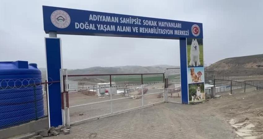 Adıyaman Belediyesi’nden sıfır atık projesi: Yemek artıkları, can dostlar için mamaya dönüşüyor Adıyaman Belediyesi Veteriner İşleri Müdürlüğü ekipleri tarafından her gün toplanan