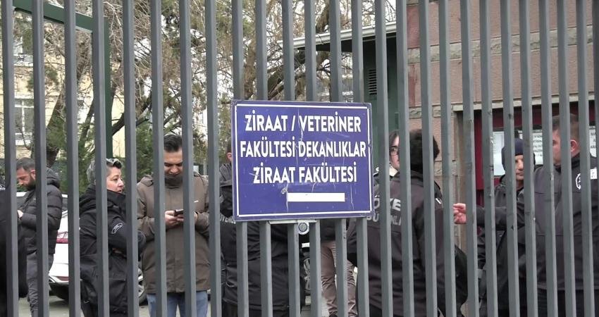 Ankara Üniversitesi Veteriner Fakültesi öğrencileri ve mezunları tarafından kampüsteki köpeklerin