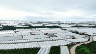 Antalya Büyükşehir Belediyesi, Kumluca ve Finike ilçelerinde hortum ve fırtınadan