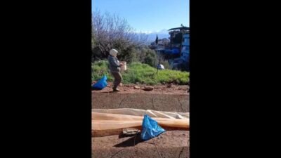 Aydın'ın Karacasu ilçesinde geçen sezon yetiştirilen tütünler şirketler tarafından henüz