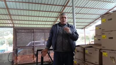 Aydın'ın Karacasu ilçesinde bu sene "geç başlayan" alımlar sebebiyle mağdur