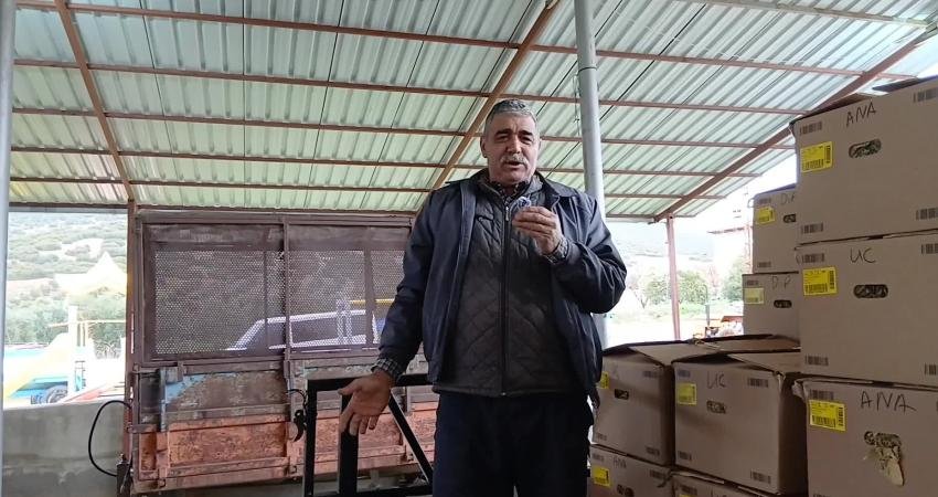 Aydınlı tütün üreticisi dert yandı: “Tütünün kilo maliyeti 260 lira, bizden ortalama 250 liraya alıyorlar” Aydın'ın Karacasu ilçesinde bu sene "geç başlayan" alımlar sebebiyle mağdur